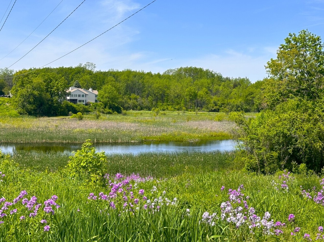 336 Monica Ave, Lyons, WI 53105-2411