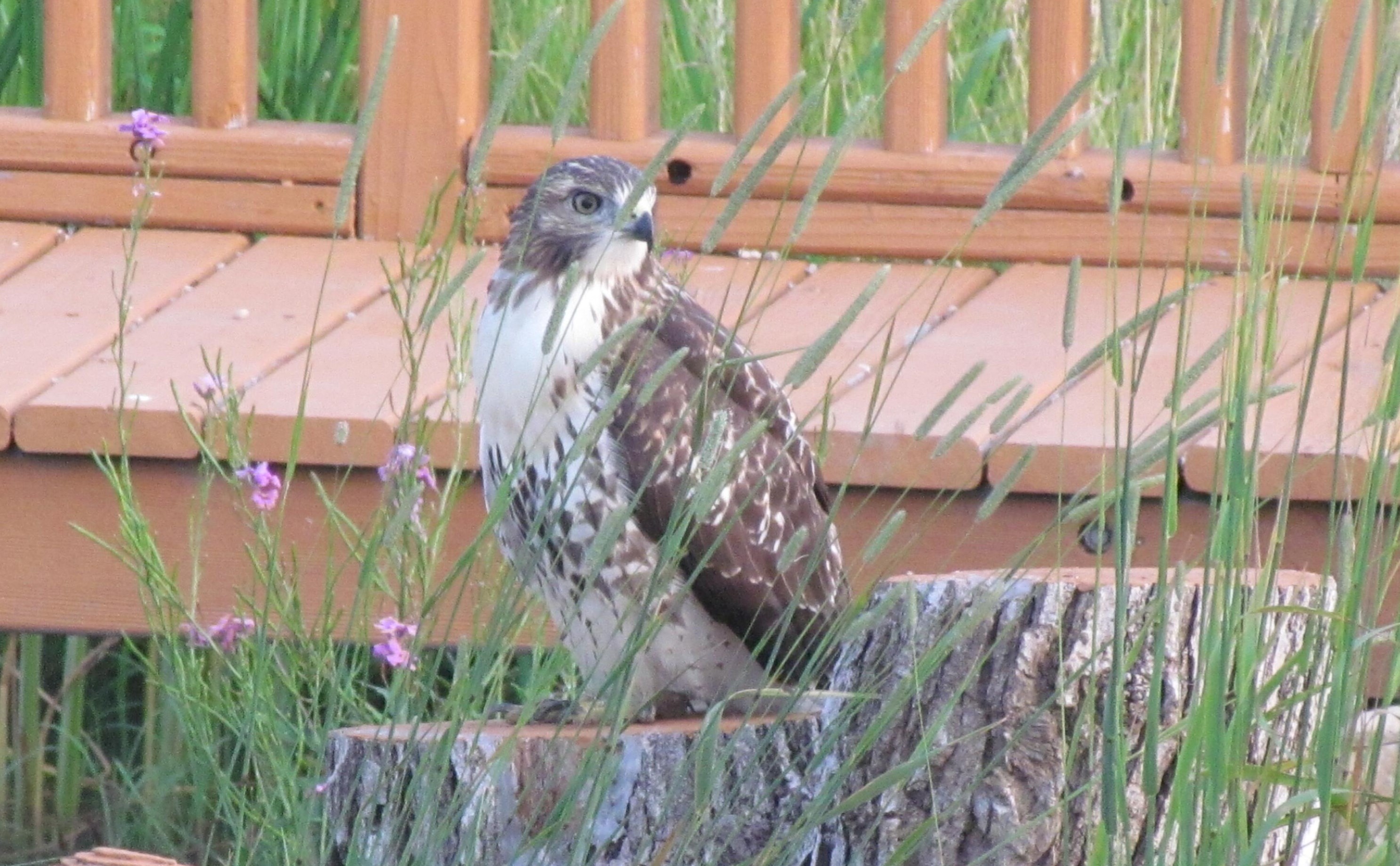 15714 Braun Rd, Sturtevant WI 53177-9433 exterior