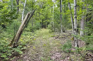 6860 Bay Shore Dr, Egg Harbor, WI 54209 - Photo 20