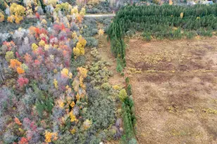 W12103 Highland Rd, Ackley, WI 54409 - Photo 22