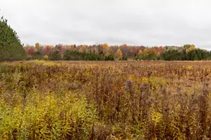 W12103 Highland Rd, Ackley, WI 54409 - Photo 36