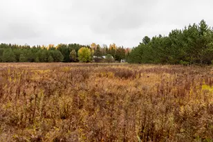 W12103 Highland Rd, Ackley, WI 54409 - Photo 38
