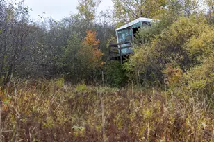 W12103 Highland Rd, Ackley, WI 54409 - Photo 40