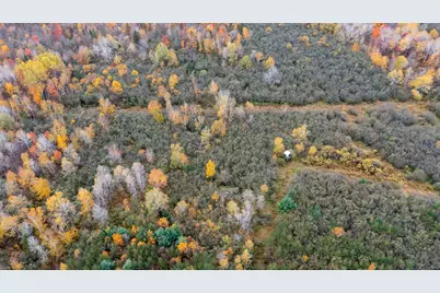 W12103  Highland Rd, Ackley, WI 54409 - Photo 14