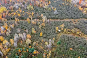 W12103 Highland Rd, Ackley, WI 54409 - Photo 14