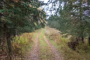 W12103 Highland Rd, Ackley, WI 54409 - Photo 46