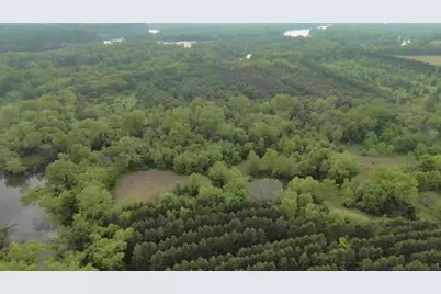 3355  State Road 13 -, Springville, WI 53965 - Photo 2