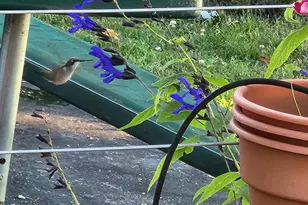 7715 W Wind Lake Rd, Racine, WI 53185 - Photo 52