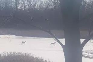 7715 W Wind Lake Rd, Racine, WI 53185 - Photo 50