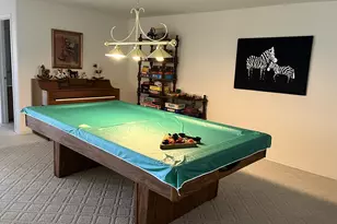 3 Carlock Dr, Danforth, IL 60930 - Photo 26