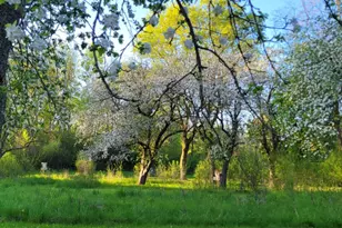 1115 Greendale Rd, Sheboygan, WI 53081 - Photo 8