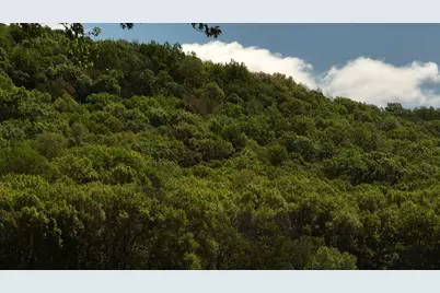 N5956  Town Shop Rd, Fountain, WI 54618 - Photo 30