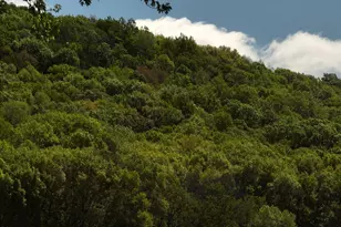 N5956 Town Shop Rd, Fountain, WI 54618 - Photo 30