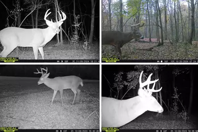 N5956  Town Shop Rd, Fountain, WI 54618 - Photo 28