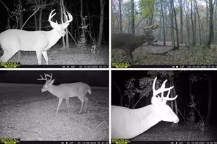 N5956 Town Shop Rd, Fountain, WI 54618 - Photo 28