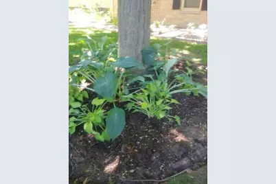 2347 N 117th St, Wauwatosa, WI 53226 - Photo 8