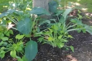 2347 N 117th St, Wauwatosa, WI 53226 - Photo 8