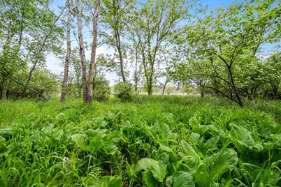 Lt1  County Highway E -, Hartford, WI 53027 - Photo 4