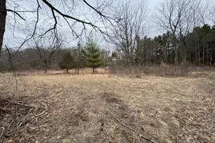 W316S198 Hwy 83 -, Delafield, WI 53018 - Photo 6