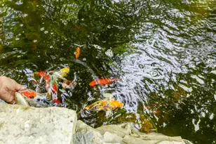 205 Kummrow Ct, Wales, WI 53183 - Photo 66