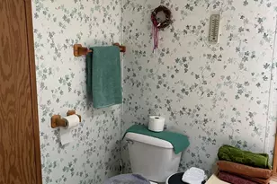 W13924 Lewis Ln, Silver Cliff, WI 54104 - Photo 10