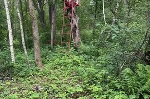 W25757 Bear Coulee Rd, Dodge, WI 54661 - Photo 66