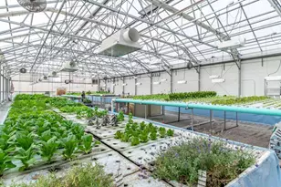 W839 Lk Orch Ct, Mosel, WI 53083 - Photo 8