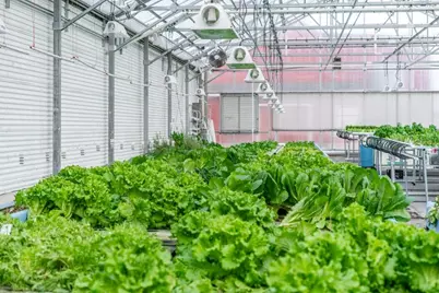 W839  Lake Orchard Ct, Mosel, WI 53083 - Photo 4