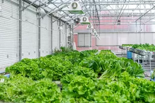 W839 Lk Orch Ct, Mosel, WI 53083 - Photo 4