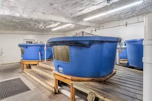 W839 Lk Orch Ct, Mosel, WI 53083 - Photo 16