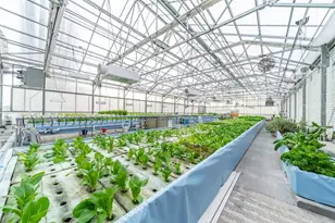 W839 Lk Orch Ct, Mosel, WI 53083 - Photo 6