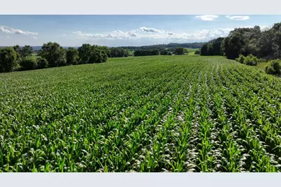 0  Hammer Rd, Sparta, WI 54656 - Photo 36