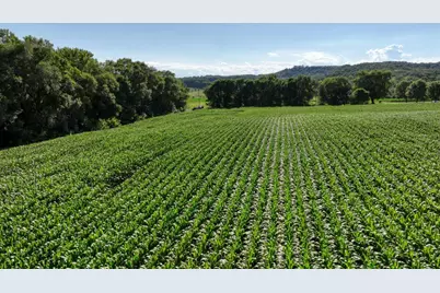 0  Hammer Rd, Sparta, WI 54656 - Photo 8