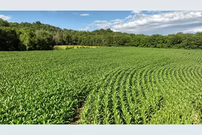 0  Hammer Rd, Sparta, WI 54656 - Photo 40