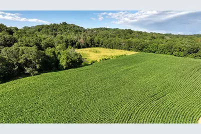 0  Hammer Rd, Sparta, WI 54656 - Photo 24