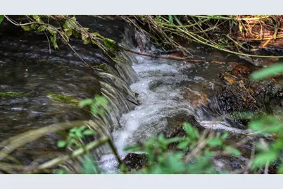 0  Hammer Rd, Sparta, WI 54656 - Photo 60