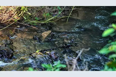 0  Hwy 16/Hamlet Ave, Sparta, WI 54656 - Photo 10