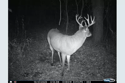 N2232  Peters Rd, Sharon, WI 53585 - Photo 40