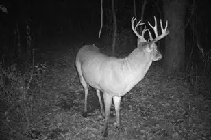 N2232 Peters Rd, Sharon, WI 53585 - Photo 40