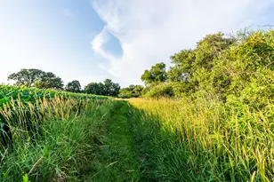 N2232 Peters Rd, Sharon, WI 53585 - Photo 50