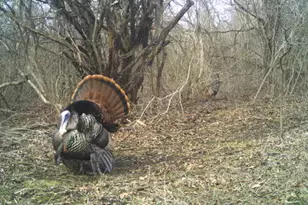 N2232 Peters Rd, Sharon, WI 53585 - Photo 6