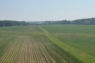 9258 State Road 76 -, Clayton, WI 54956 - Photo 78