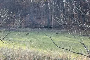 Lt2 S Clark St, Mayville, WI 53050 - Photo 1