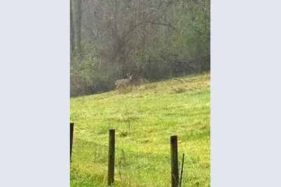 36415  Homer Valley Ln, Homer, MN 55987 - Photo 66