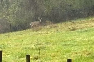 36415 Homer Valley Ln, Homer, MN 55987 - Photo 66