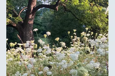 36415  Homer Valley Ln, Homer, MN 55987 - Photo 62