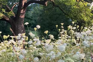 36415 Homer Valley Ln, Homer, MN 55987 - Photo 62