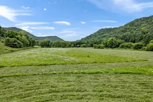 36415 Homer Valley Ln, Homer, MN 55987 - Photo 8