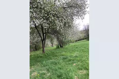 36415  Homer Valley Ln, Homer, MN 55987 - Photo 70