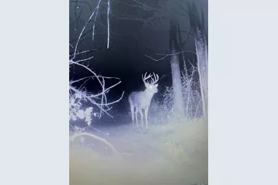 36415  Homer Valley Ln, Homer, MN 55987 - Photo 64